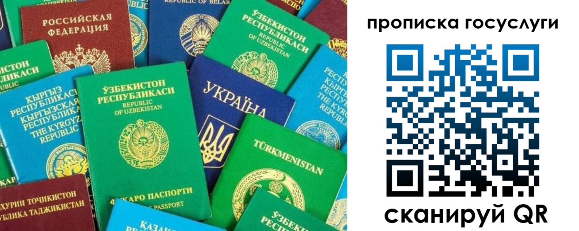 временная регистрация для всех в Николаевске-на-Амуре